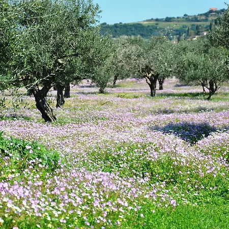Aries, Marvelous 2floors Maisonette Old Town Of Kyparissia * Miloi (Messinia)