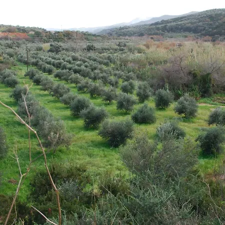 Aries, Marvelous 2floors Maisonette Old Town Of Kyparissia Tatil Evi *