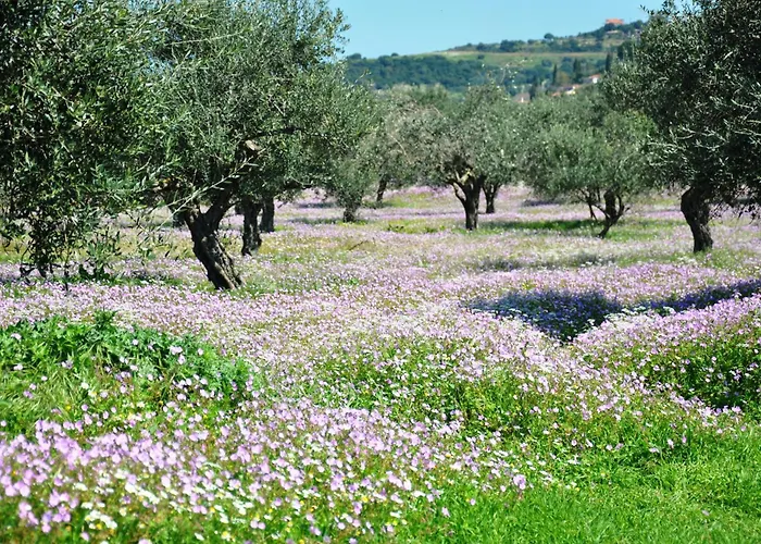 Aries, Marvelous 2floors Maisonette Old Town Of Kyparissia * Míloi